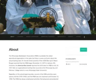 Mshoneybee.org(Mshoneybee) Screenshot