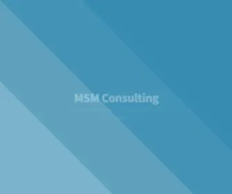 MSM-Consulting.de(Consulting) Screenshot