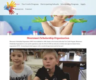 Msoonline.com(Non-Profit 501(c)(3)) Screenshot