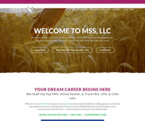 MSsmedicalstaffing.com(Medical Staffing Solutions) Screenshot