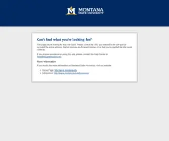 Msuadmissions.org(Montana State University) Screenshot