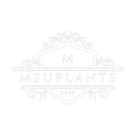 Msuplants.com Logo