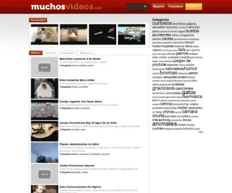 Muchosvideos.net(Muchos Videos) Screenshot