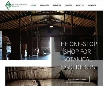 Mueggenburgfarms.com(Mueggenburg Farms) Screenshot