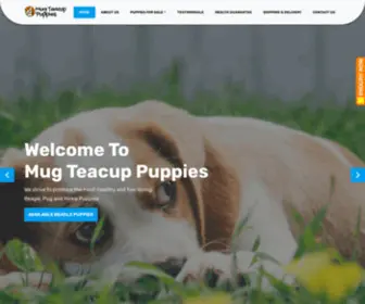 Mugteacuppuppies.net(Teacup puppies for sale) Screenshot