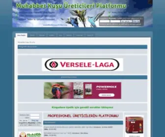 Muhabbetkusuureticileri.org(Muhabbetkusuureticileri) Screenshot