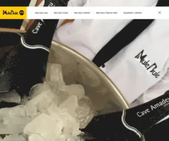 Mulebule.com.br(Mule Bule) Screenshot