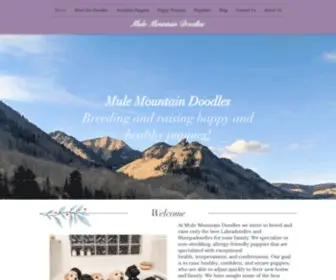 Mulemountaindoodles.com(Doodles) Screenshot