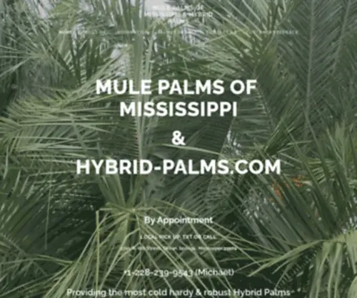 Mulepalmsofmississippi.com(Superior to the frost tender Silver Queen Palm (Syagrus romanzoffiana var. litoralis)) Screenshot