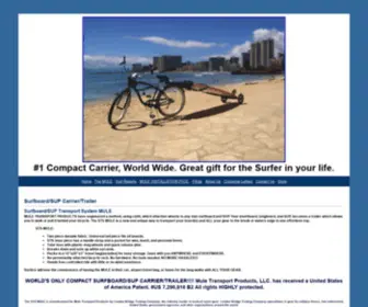 Muletransportsystems.com(Hosting Option) Screenshot