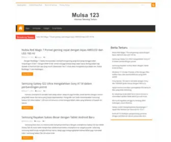 Mulsa123.com(Business Intelligence System) Screenshot