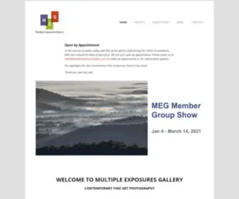 Multipleexposuresgallery.com(Multiple Exposures Gallery) Screenshot