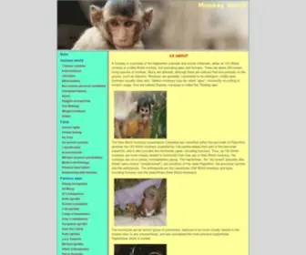 Multis-Online.com(Monkey) Screenshot