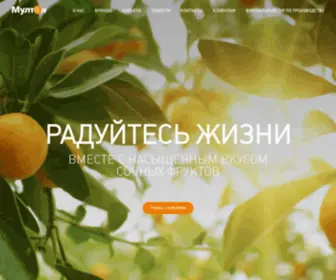 Multon.ru(Главная) Screenshot
