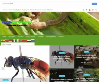 Mundoagropecuario.com(Administrative Quarantine) Screenshot