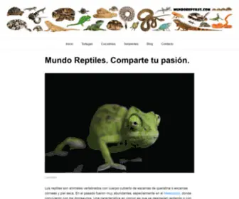 Mundoreptiles.com(→ Mundo Reptiles) Screenshot