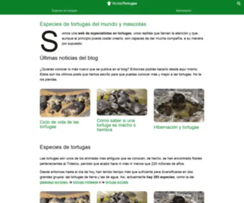 Mundotortugas.com(Especies de tortugas del mundo y mascotas) Screenshot