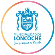 Municipalidaddeloncoche.cl Favicon