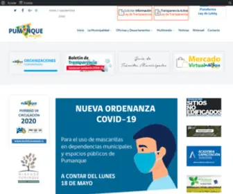 Munipumanque.cl(Ilustre Municipalidad de Pumanque) Screenshot