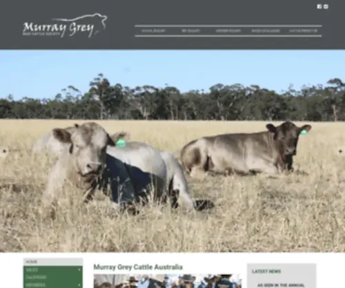 Murraygrey.com.au(Murray Grey Beef Cattle Society) Screenshot
