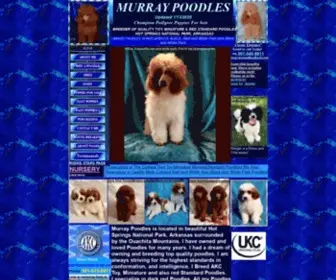 Murraypoodles.com(Red and white parti)) Screenshot