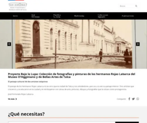 Museodetalca.cl(Museo O'Higginiano y de Bellas Artes de Talca) Screenshot