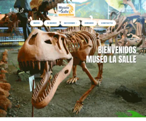 Museolasalle.ed.cr(Museo La Salle) Screenshot
