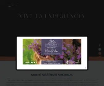 Museomaritimo.cl(Museo Mari­timo Nacional) Screenshot