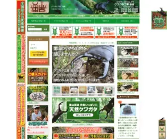 Mushikichi.com(クワガタ) Screenshot