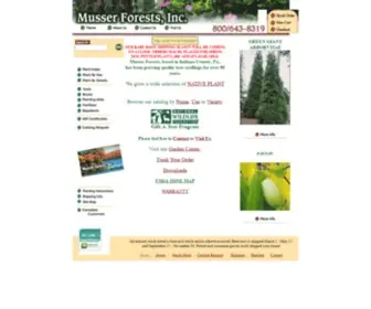 Musserforests.com(Tree grower of quality seedlings and transplants) Screenshot