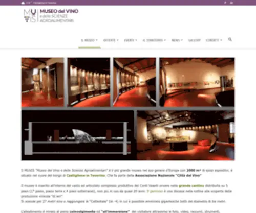 Muvis.it(Il Museo) Screenshot