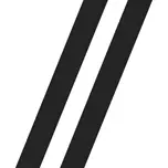 MWS.dev Logo