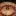 MY-GR.com Favicon