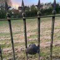 Mycaminosantiago.com Favicon