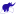 Mycarpet.com.ua Logo