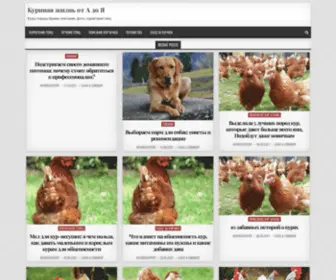 Mycatbreed.com(Куры породы брама) Screenshot