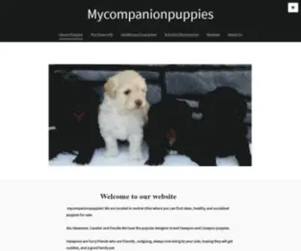 Mycompanionpuppies.com(Home/Puppies) Screenshot