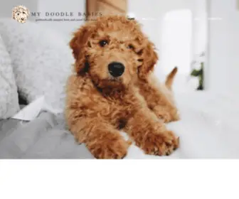 Mydoodlebabies.com(I am a retired school counselor who raises F1 and F1b goldendoodles as a hobby. My husband) Screenshot