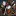 Myexploringlife.com Favicon