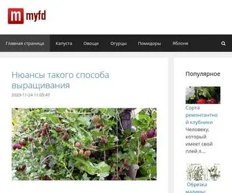 MYFD.ru(Про) Screenshot