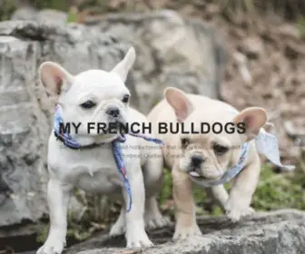 MYfrenchbulldogs.ca(My French Bulldogs) Screenshot