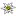 MYGsteig.ch Favicon