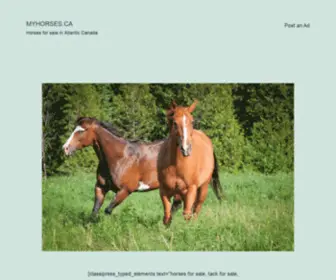 Myhorses.ca(Horses for sale in Atlantic Canada) Screenshot