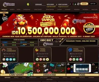 Myimcbet.com(Live dingdong) Screenshot