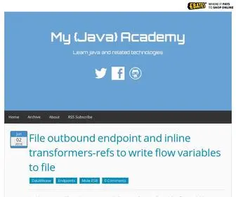 Myjavaacademy.com(Academy) Screenshot