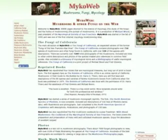 Mykoweb.com(Mushrooms, Fungi, Mycology) Screenshot