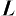 Mylarace.com Favicon