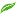 Myledy.com Favicon