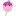 Mylittlecupcakepop.com Favicon