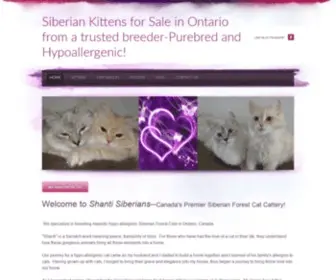 Mysiberiankitten.com(Siberian Kittens for Sale in Ontario from a trusted breeder) Screenshot